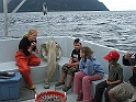 NFLD_drive_to_and-viking_settlement 713